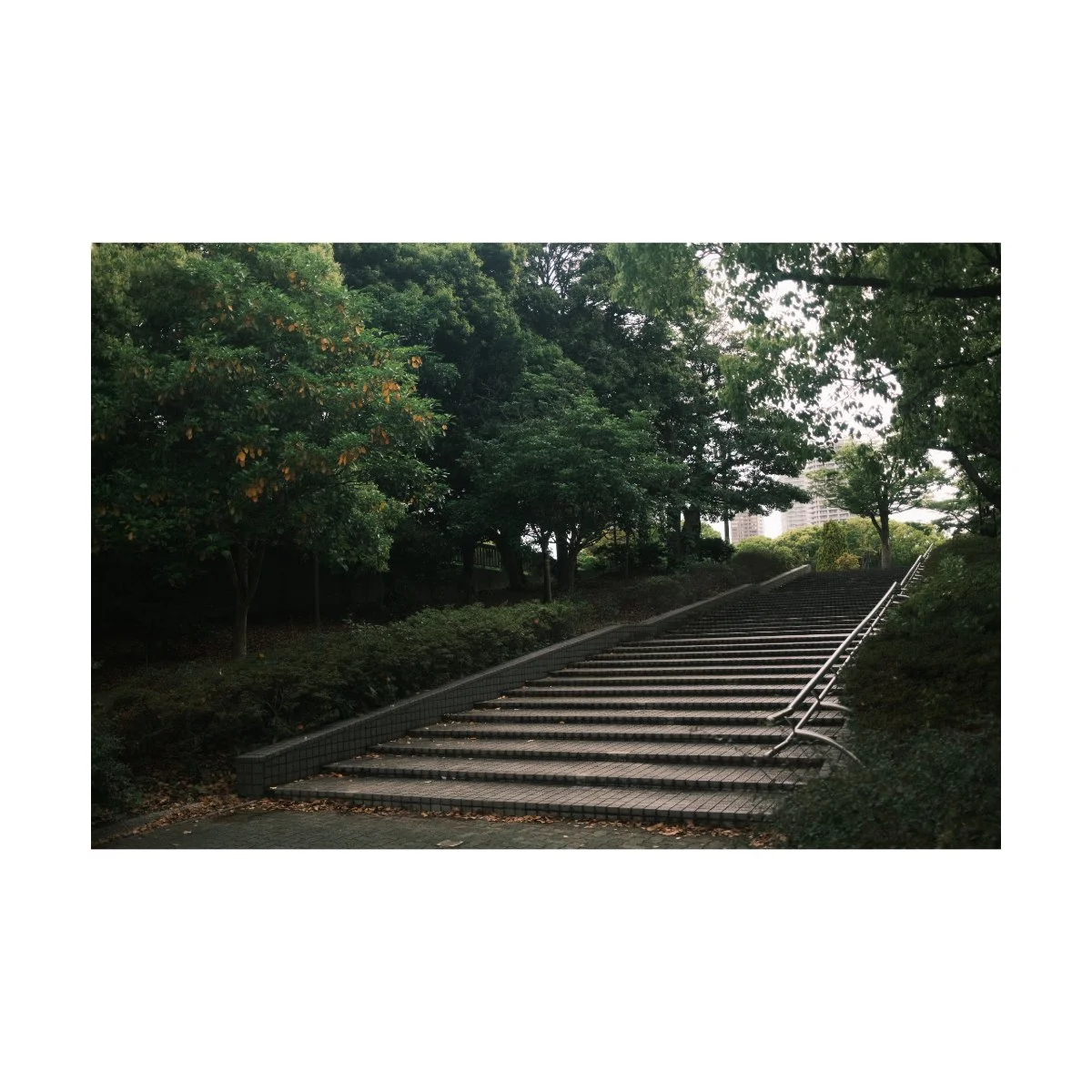 japan street photography x100vi andre pel