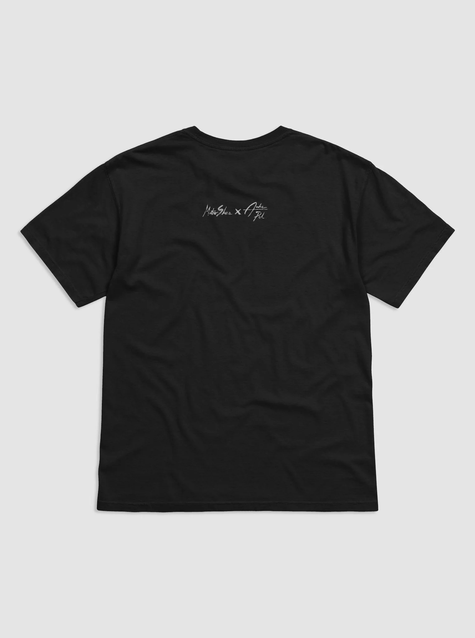 metroskies black back 3.2.jpg