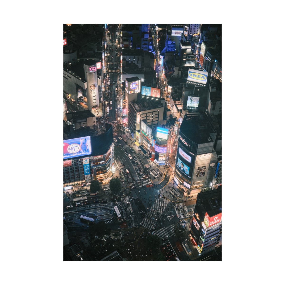 shibuya scramble crossing