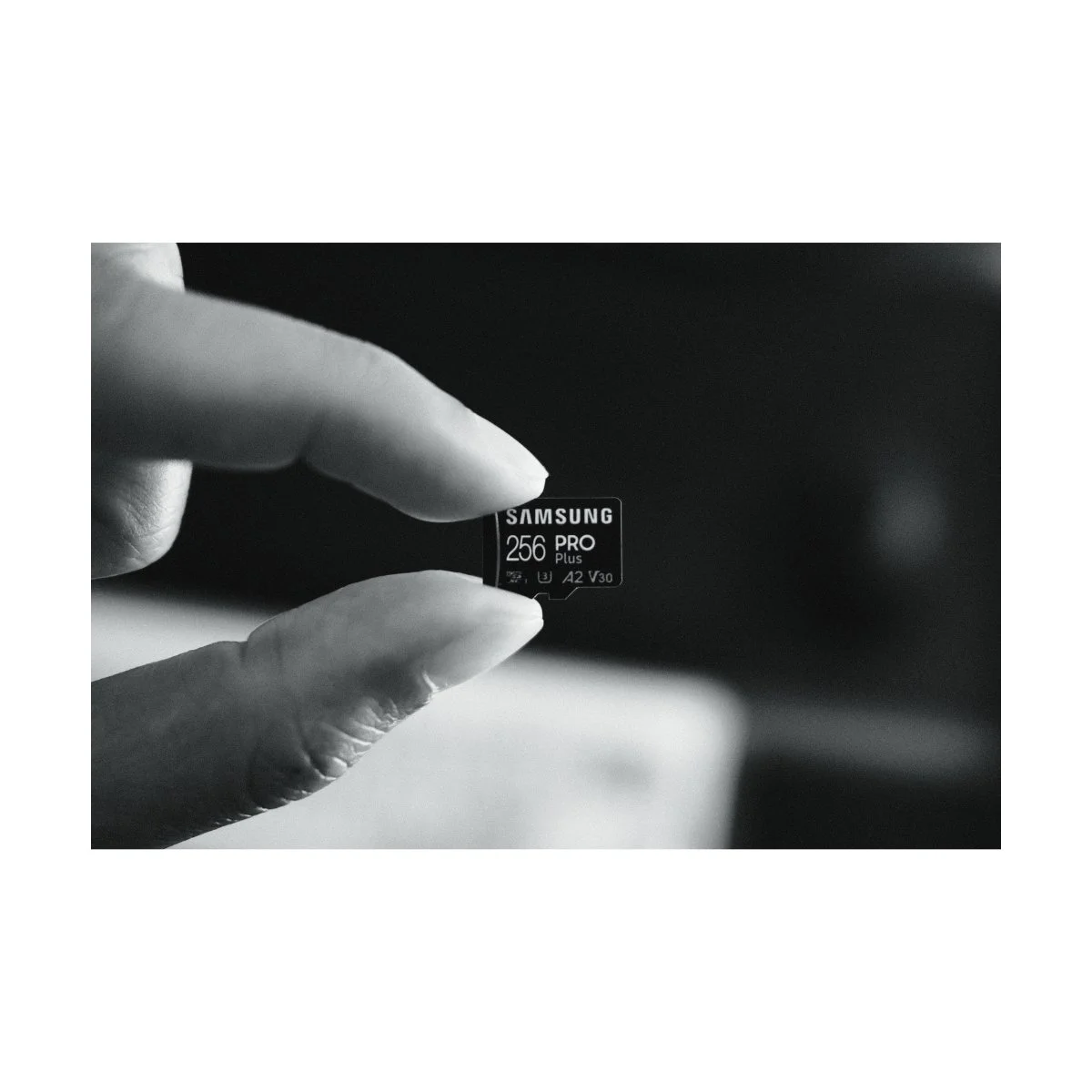 sd card