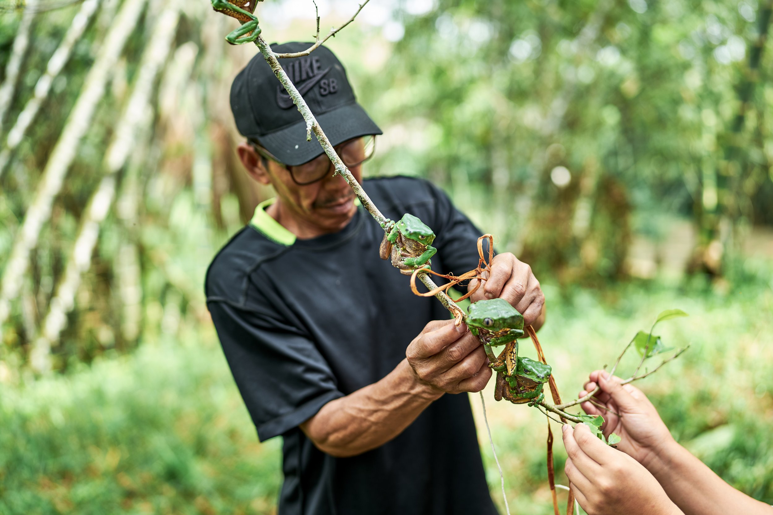 robinson&frogs 11.JPG