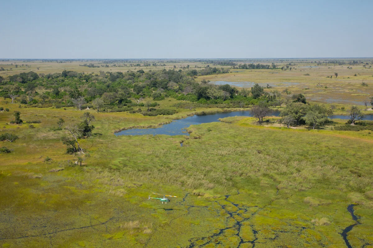 A small airplane flying over a lush green wetland with trees, water bodies, and expansive flat plains under a clear blue sky.