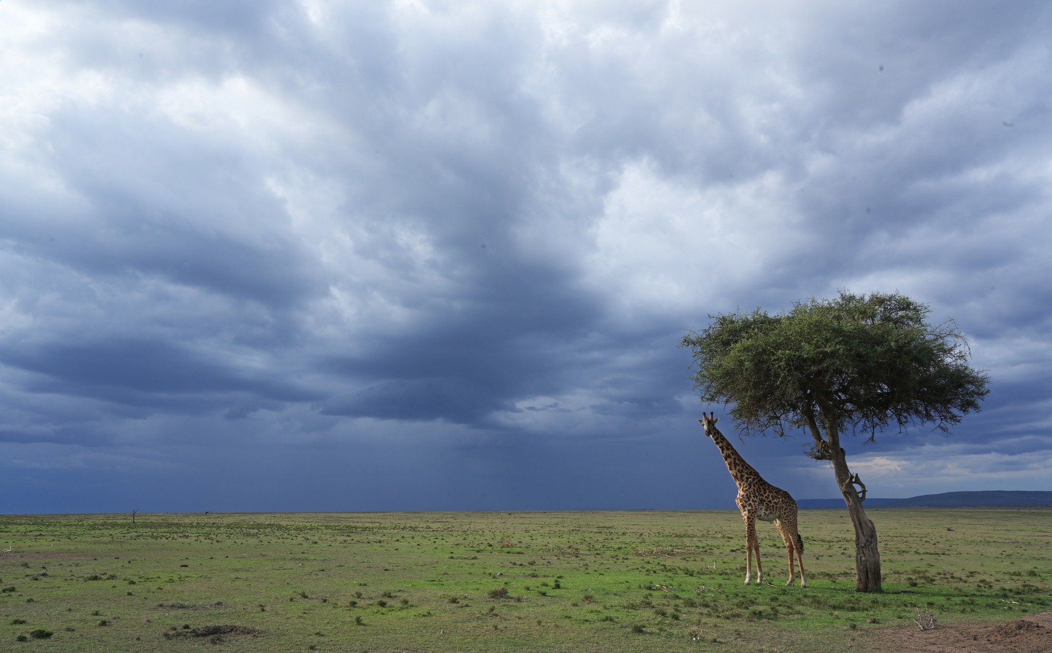 Approaching storm, Naboisho Conservancy, Kenya .jpeg