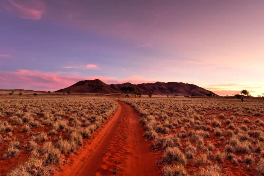 Top Natural Attractions in Namibia to Experience Now