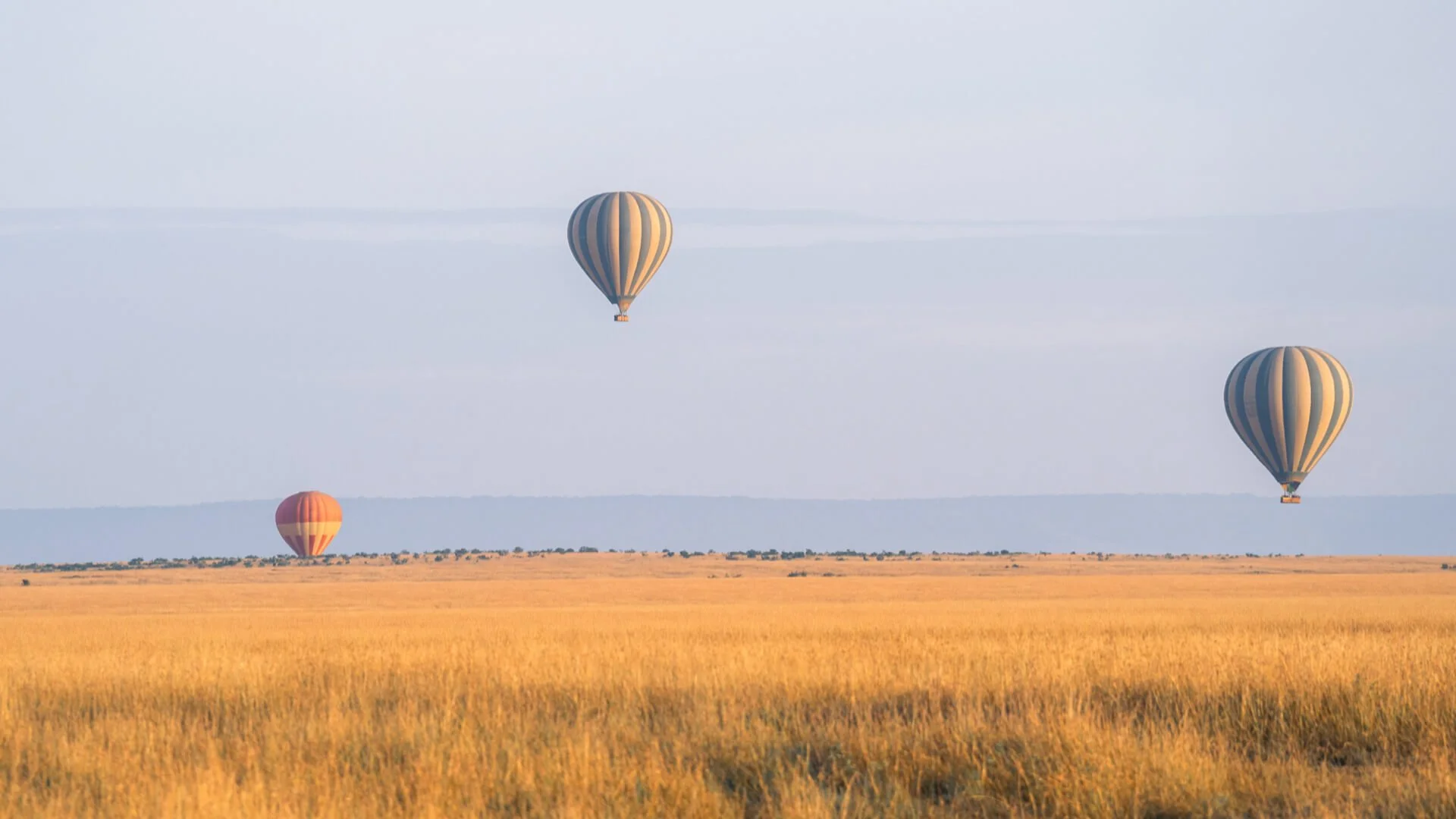 Balloons-rise-over-the-wilderness.jpg