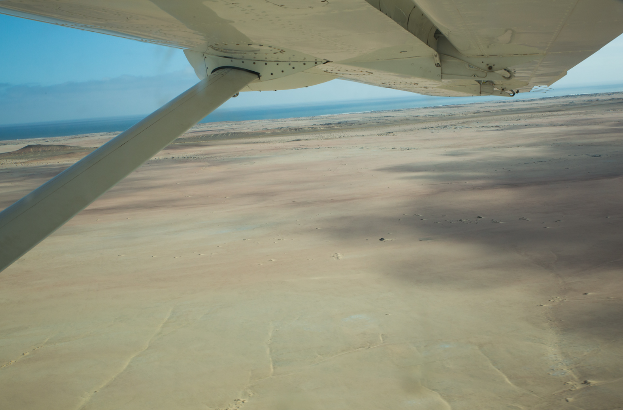 Screenshot 2025-08-12 165249.png