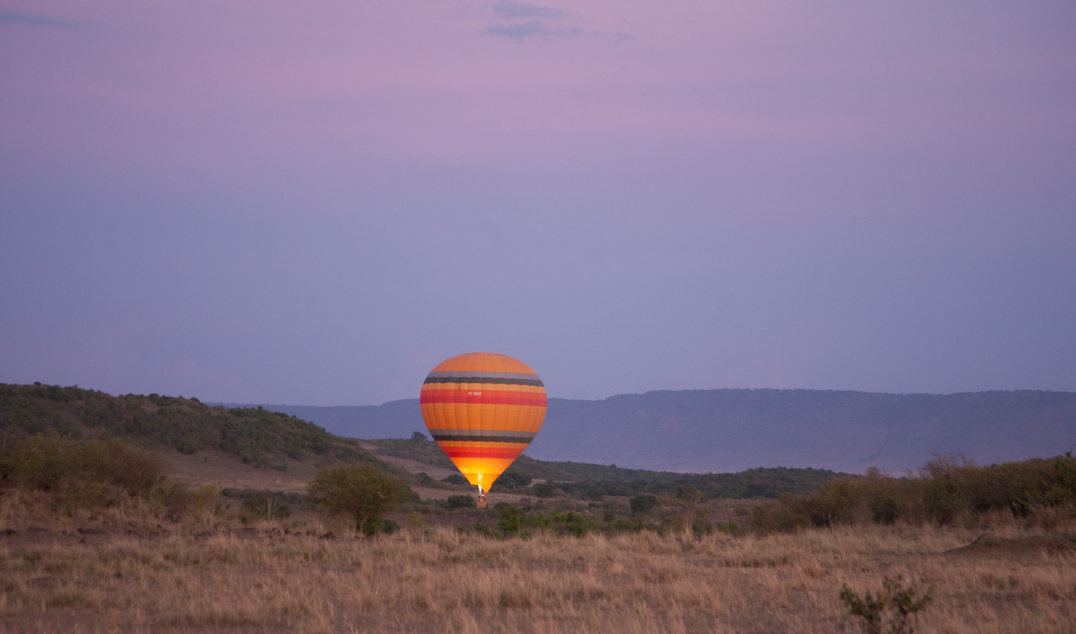 safari activities in each Destination