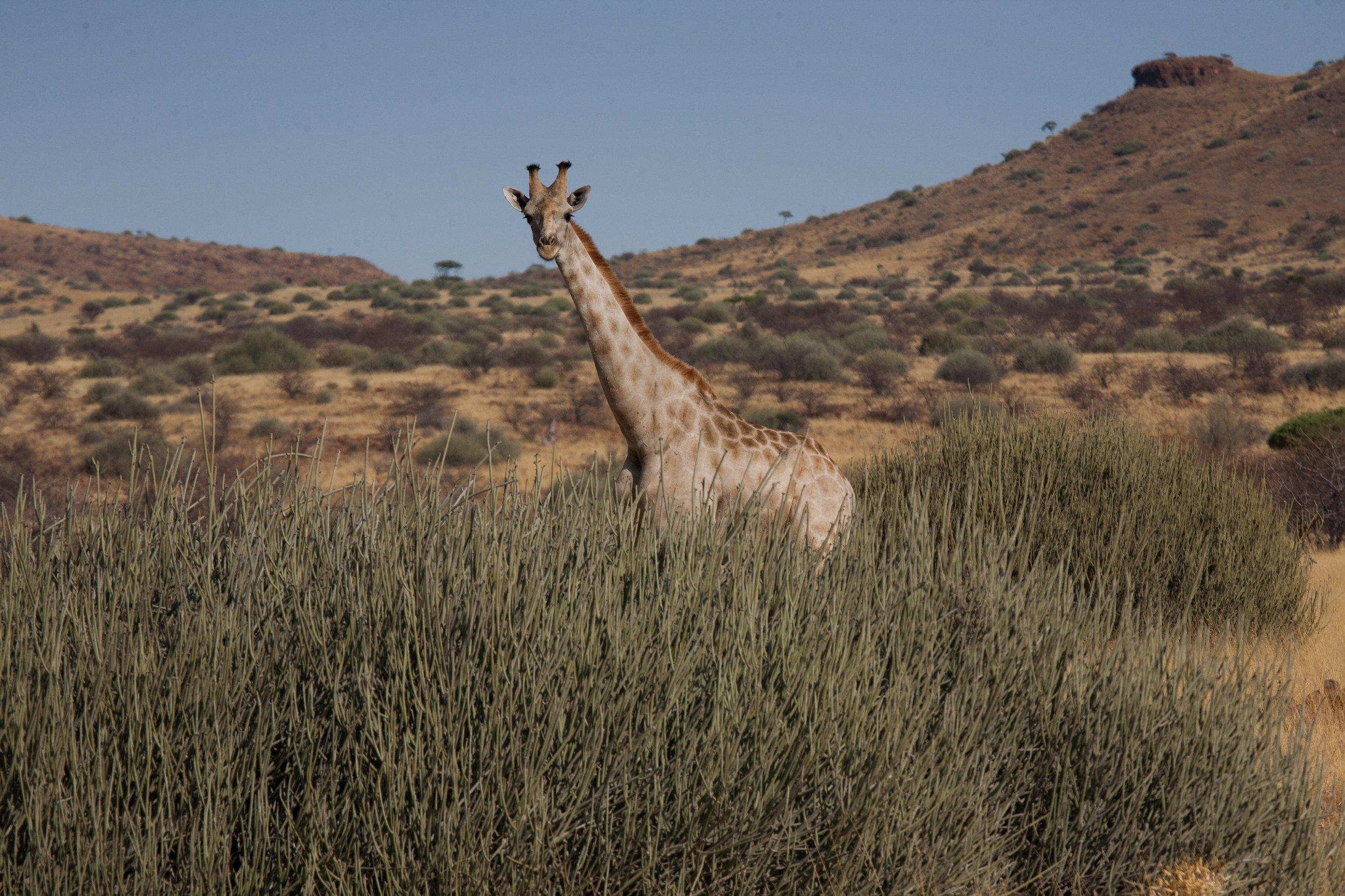 Namibia-118.jpg