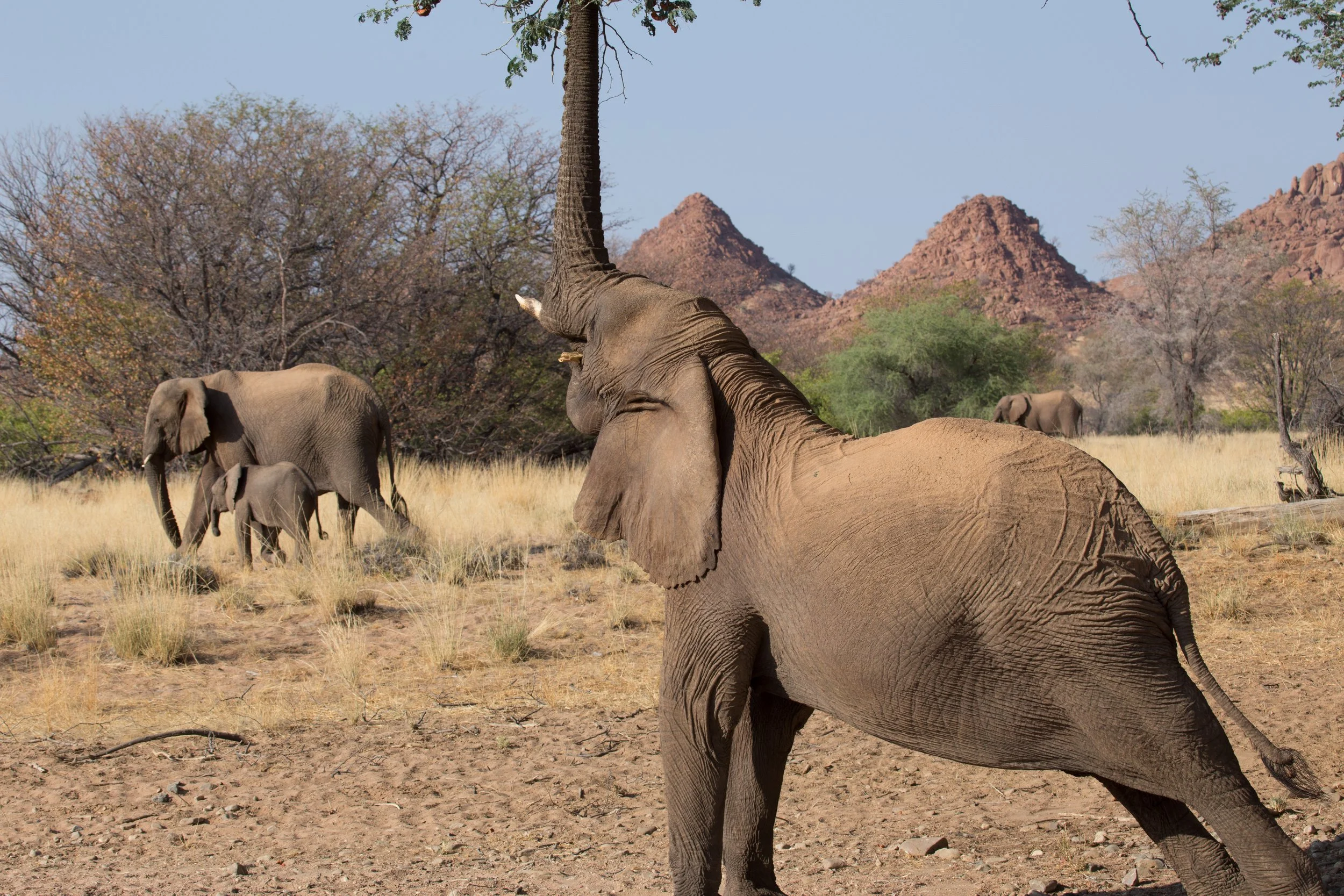 Namibia-104.jpg