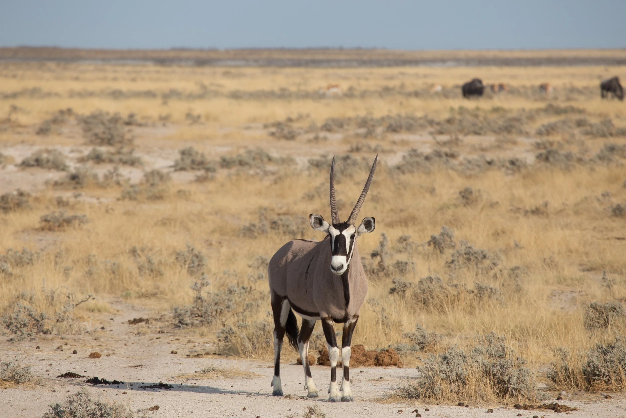 Namibia-129.jpg