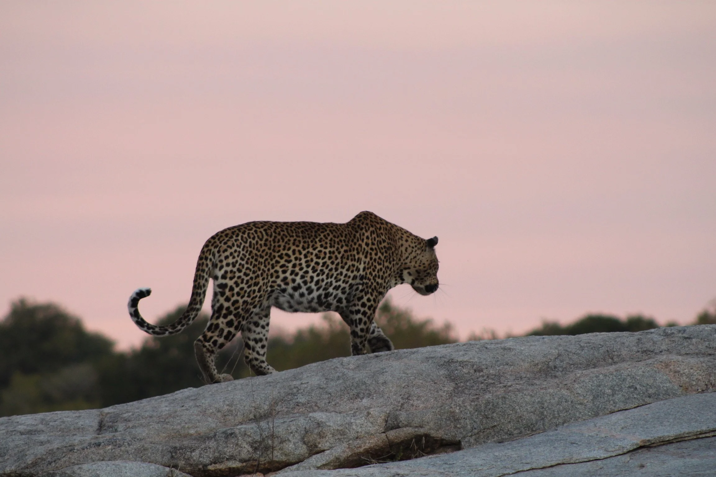 a brand new adventure every single day