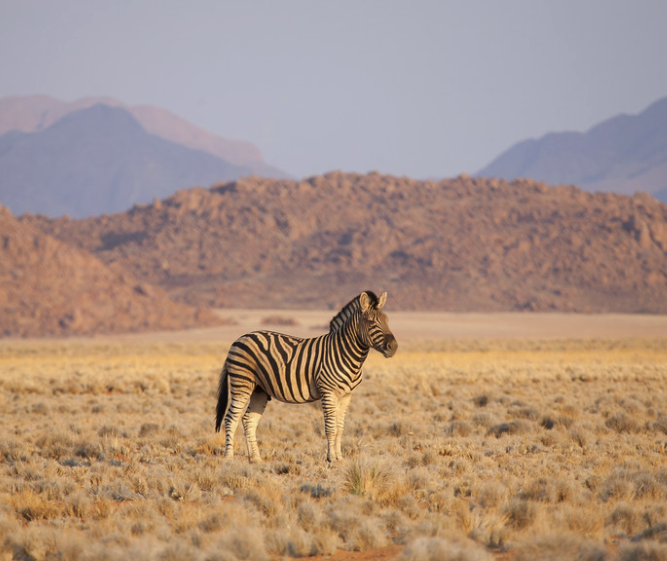 Screenshot 2025-12-15 at 2.31.02 PM.png