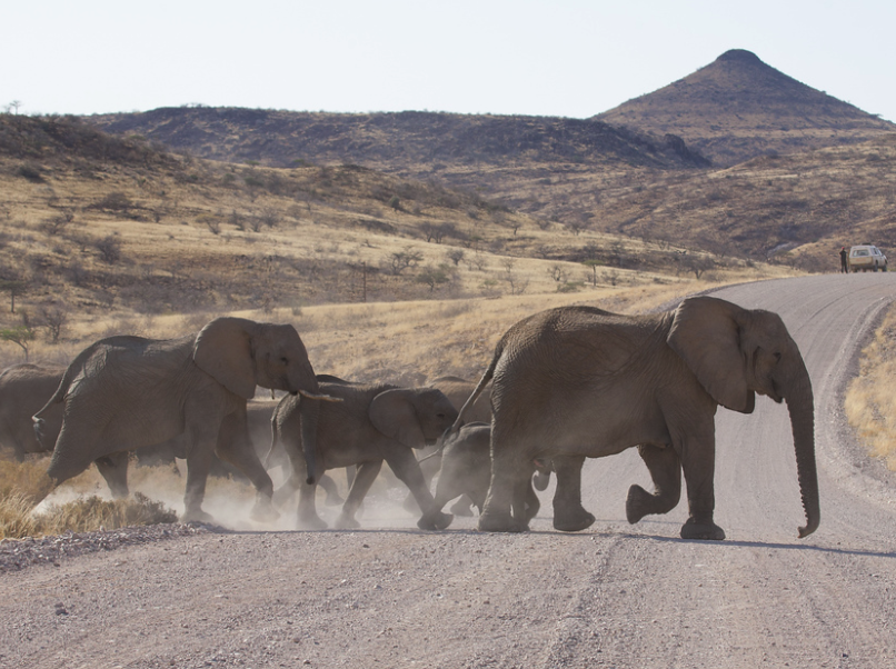 Screenshot 2025-12-15 at 2.30.07 PM.png