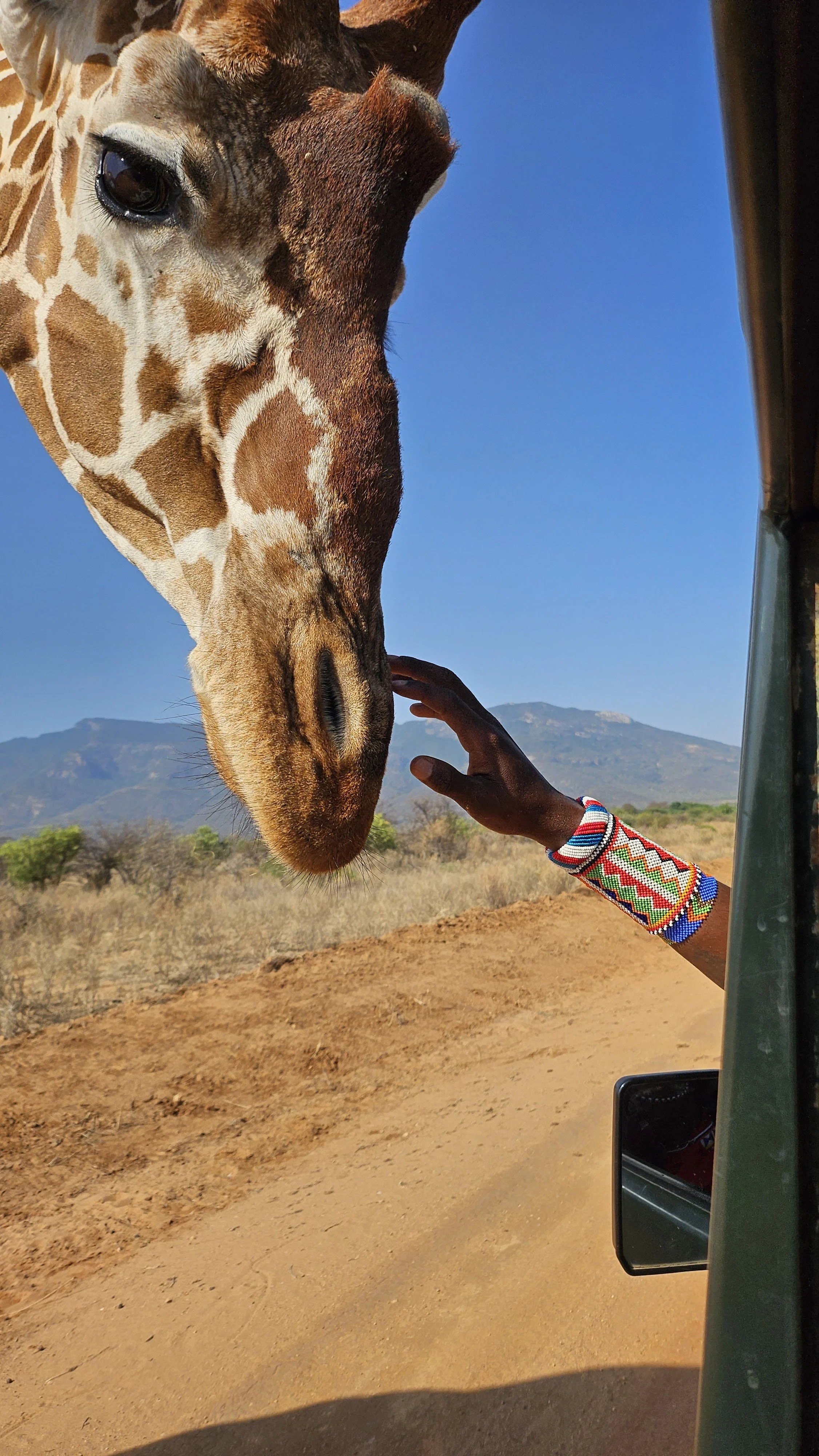 magical trip to Africa