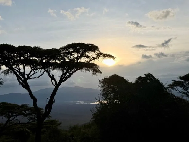 experiencing nature in its raw form