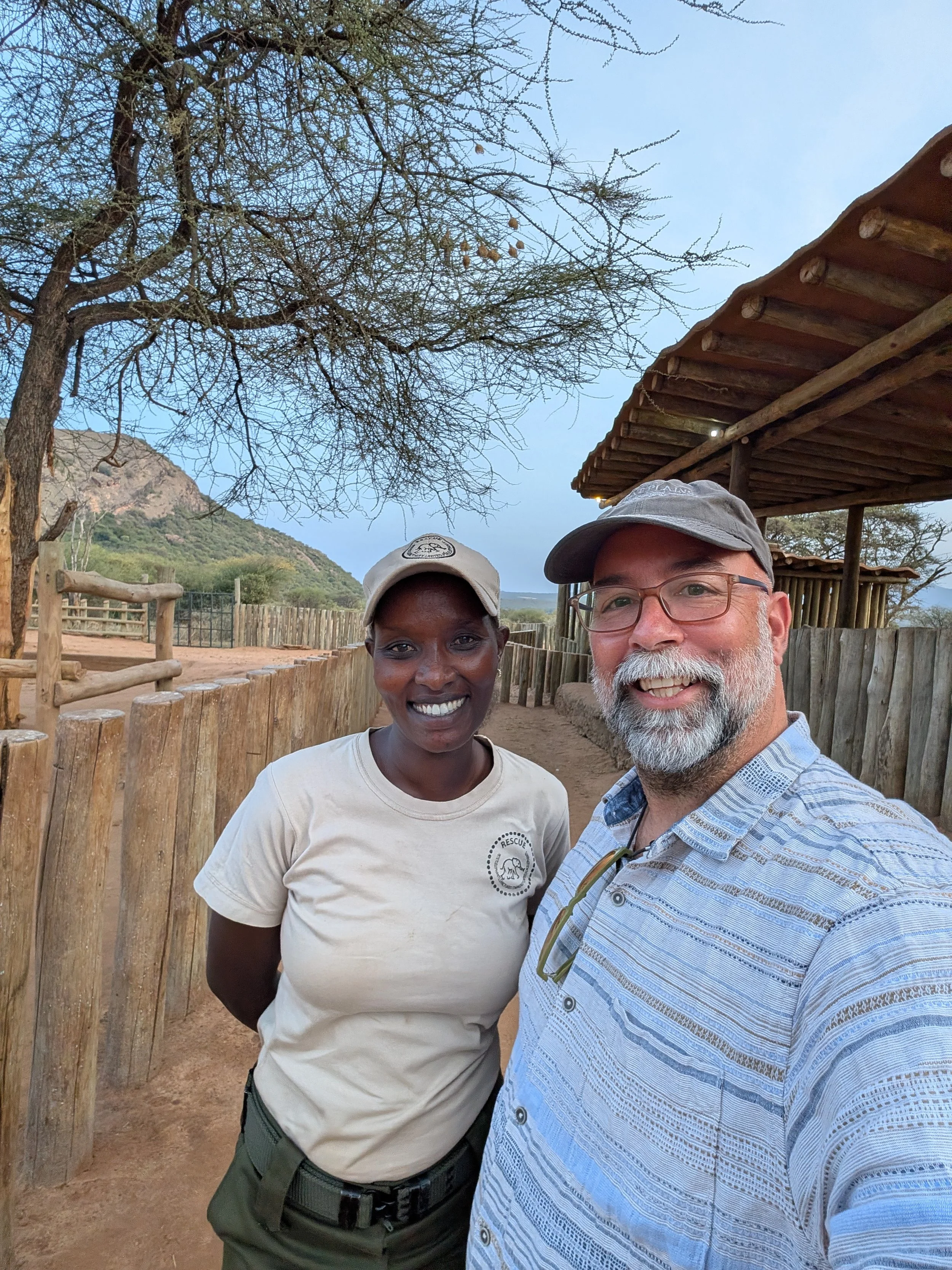 Dorothy - The Elephant Queen