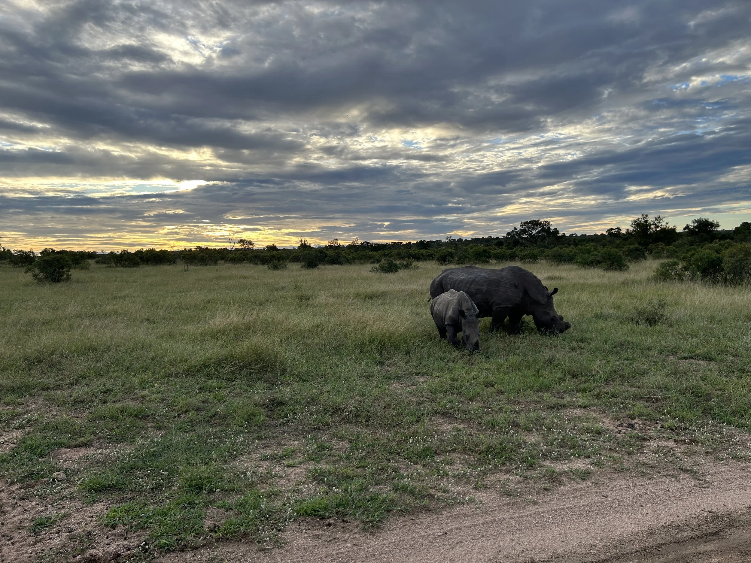 Safari Price Guide by Destination