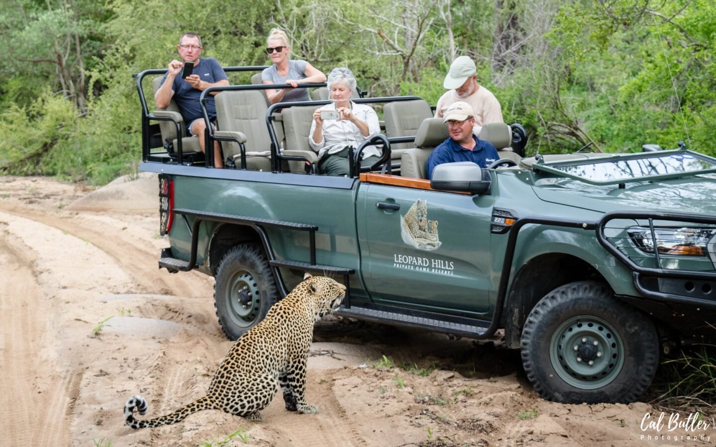 Cal-Butler-safari-leopard-01-1440x900.jpg