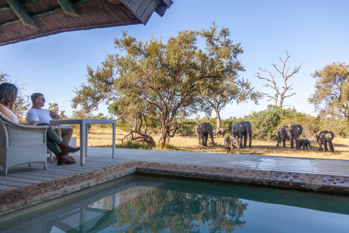 leopard-hills-mvr-2024-accommodation-suite-02-1350x900.jpg