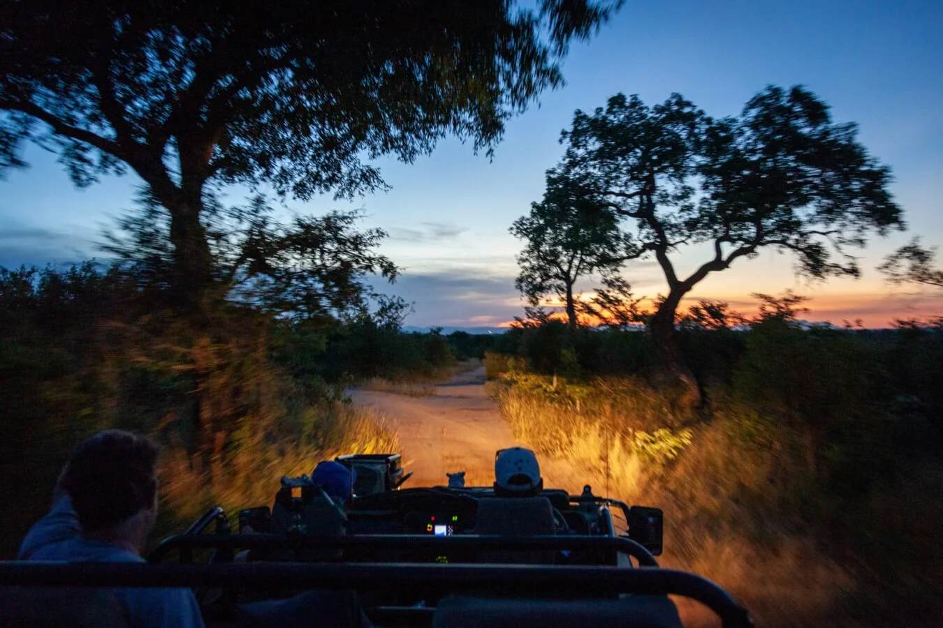 leopard-hills-mvr-2024-safari-landscape-dusk-drive-01-1350x900.jpg