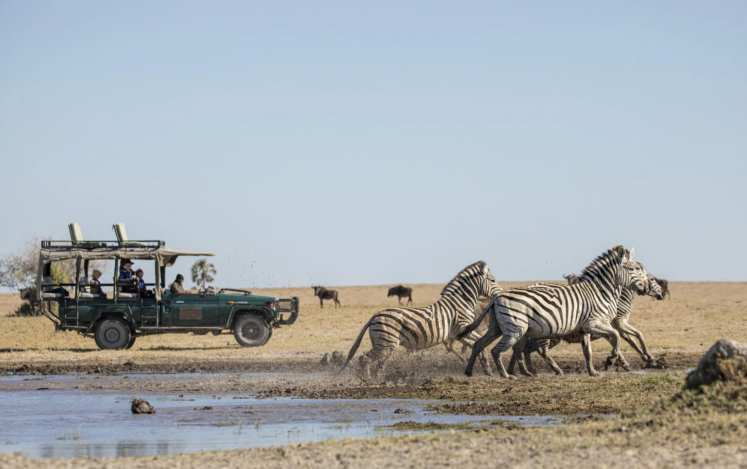 The Cape, The Delta and The Pans