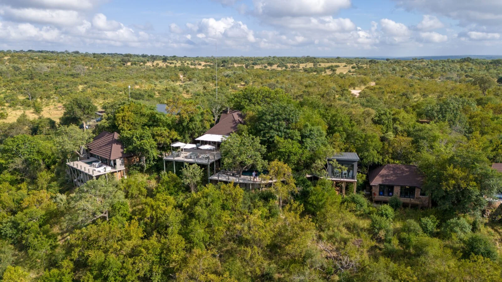 Leopard Hills