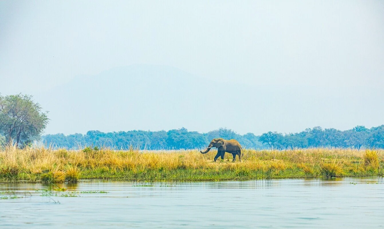 lower zambezi.jpeg