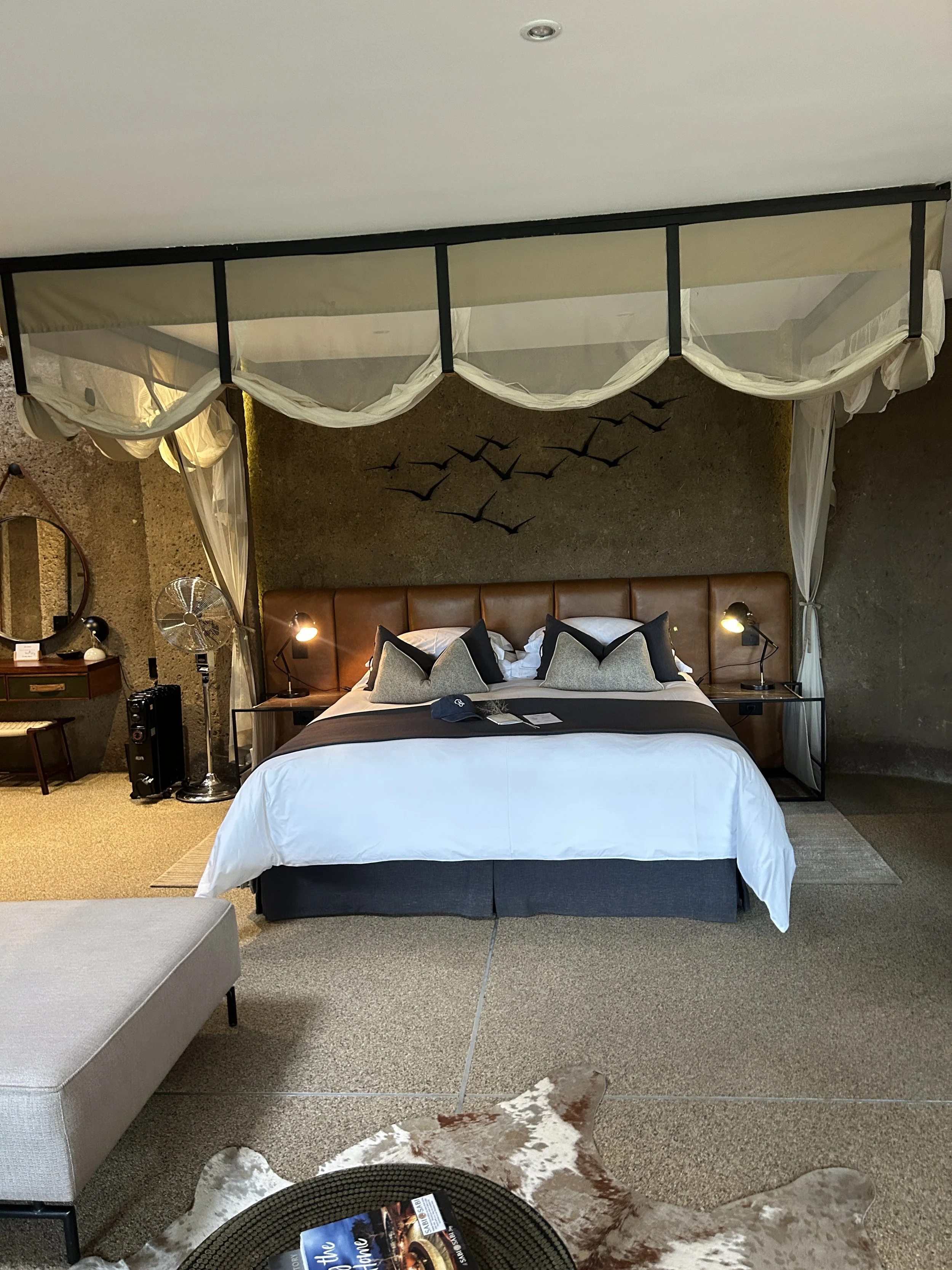 06 - Sabi Earth Lodge.JPG