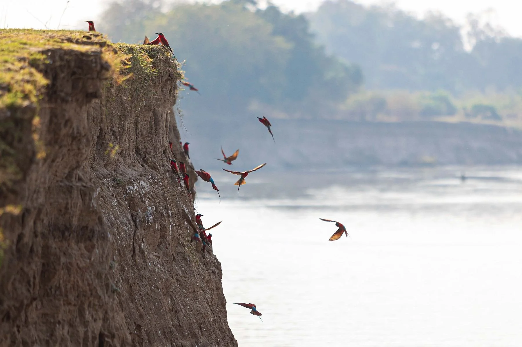 Luxurious Safari Through Zambia and South Africa