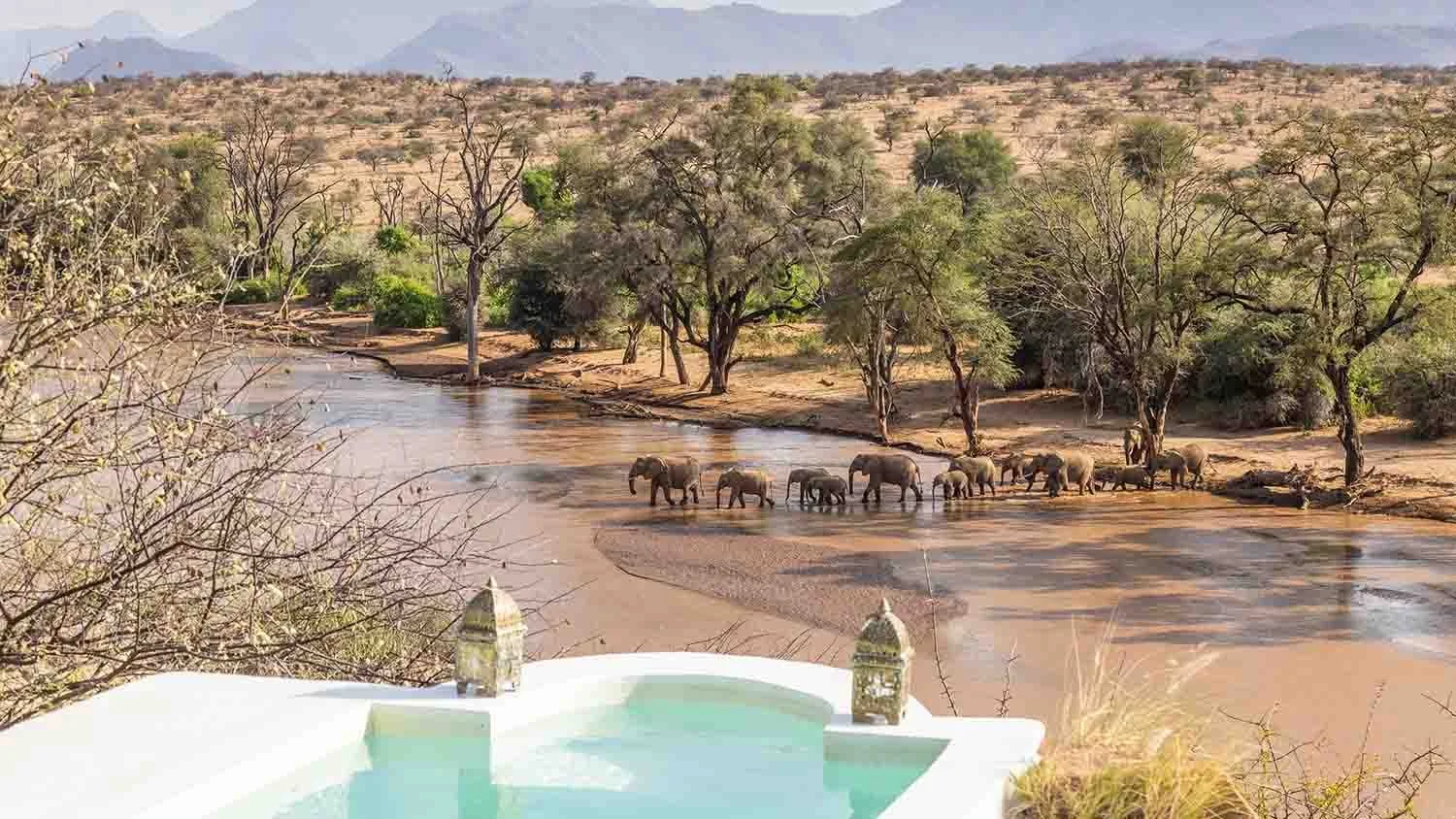 1-THe Safari Cllection Sasaab Double Suites_elephant crossing.jpg