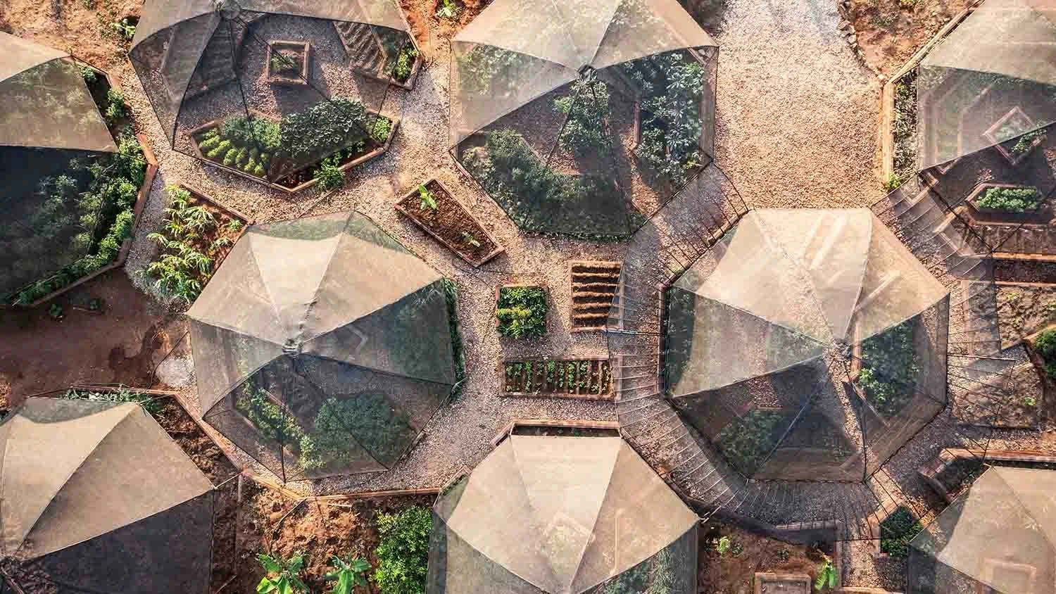 sasaab-gallery-activities-shamba-arial-view.jpg