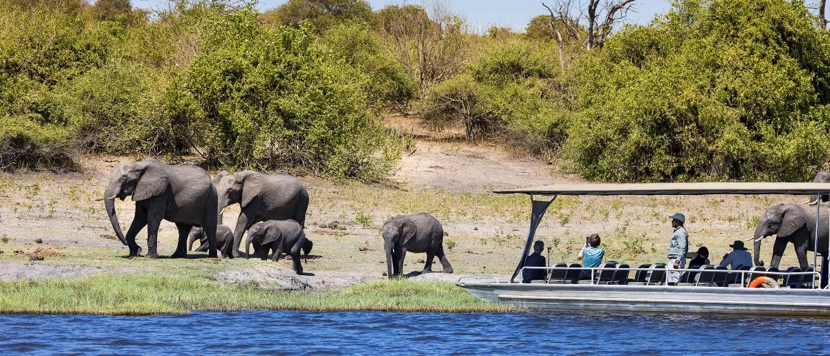 machaba-safaris-web-ngoma-lodge-boat-cruise-wild-life.jpg