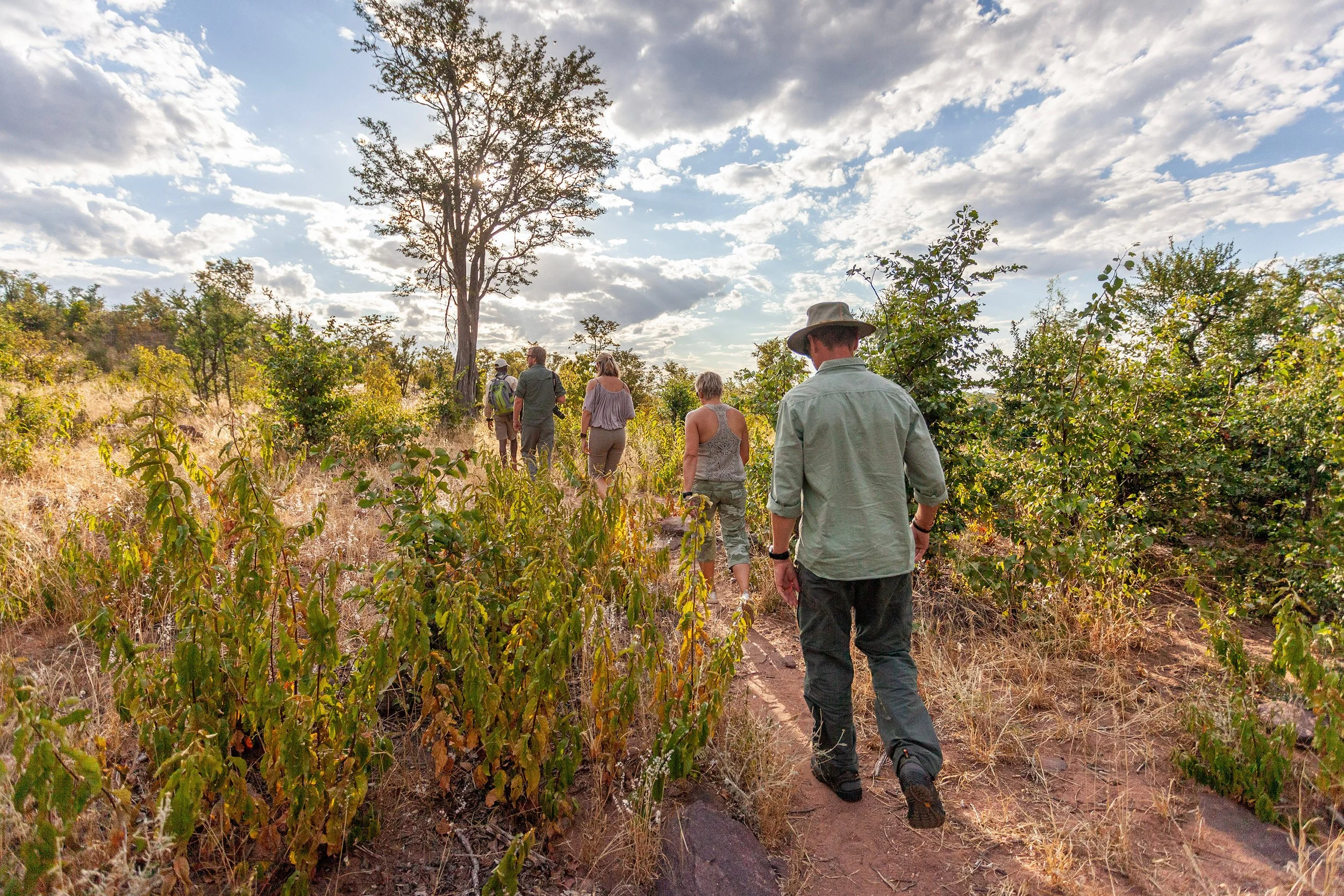 machaba-web-experience-wildlife-walking-group-walking.jpg
