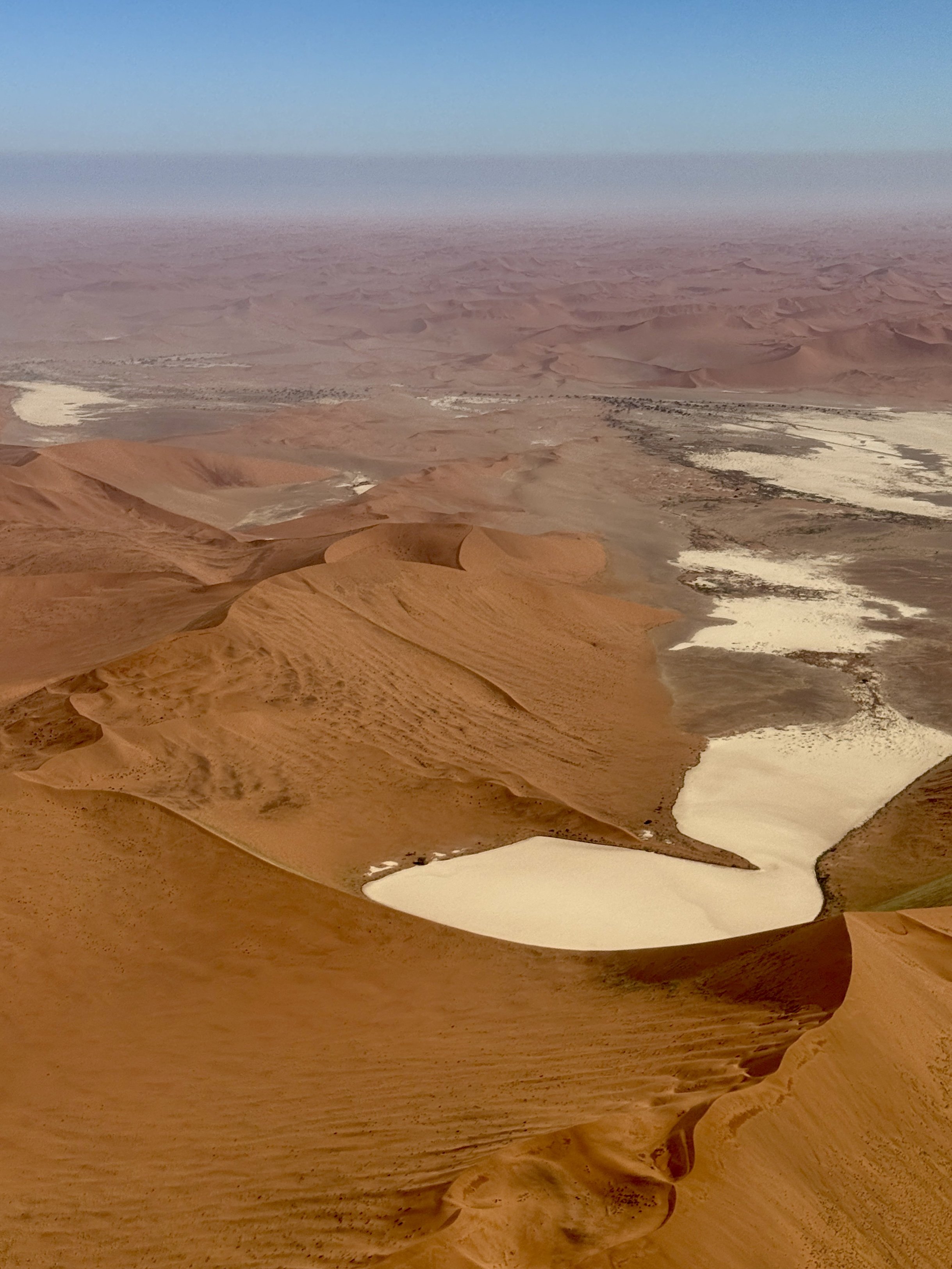 Dunes, Shipwrecks &amp; Rhinos: Our Namibia Adventure