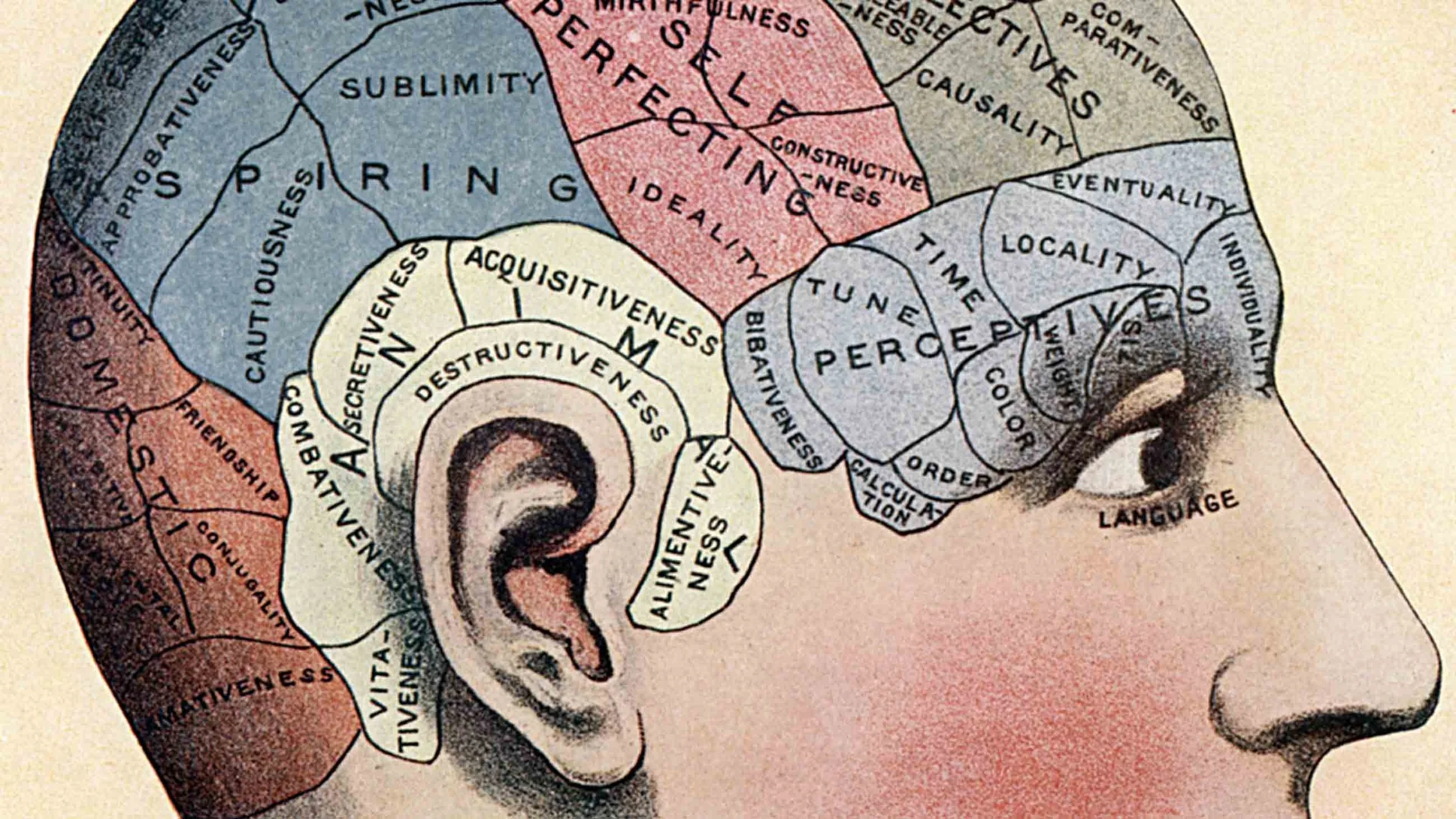 How to Rewire Your Brain