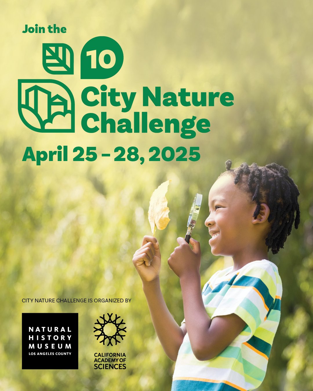 City Nature Challenge April 26 from 9 am to 12 pm