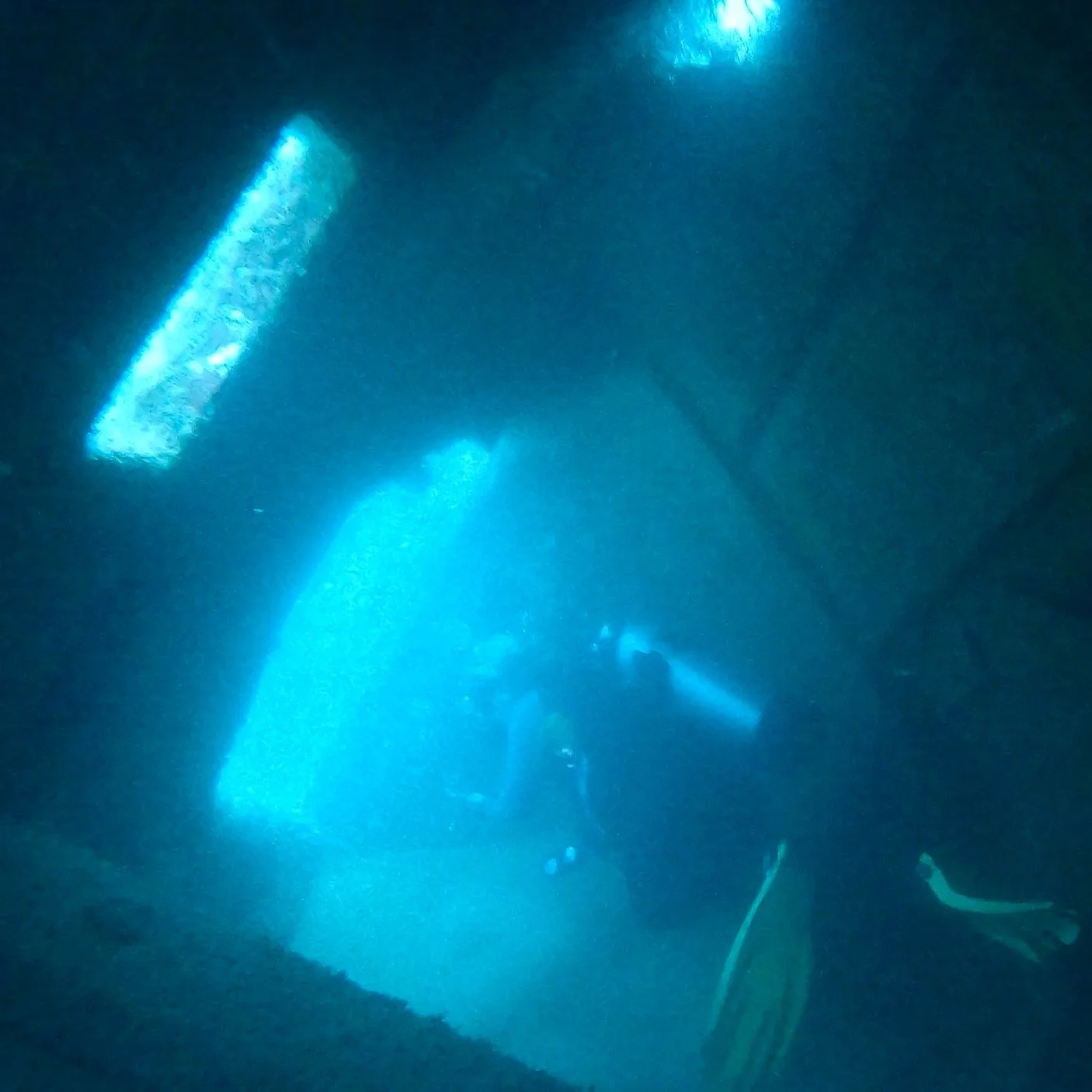 Violeta in wreck diving Golfo Dulce