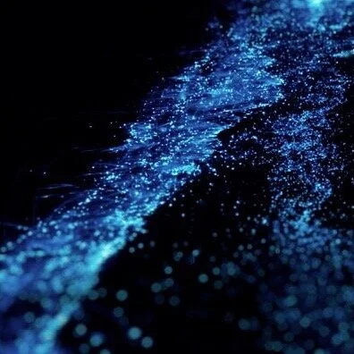 Bioluminescence boat excursion in Golfo Dulce, Costa Rica