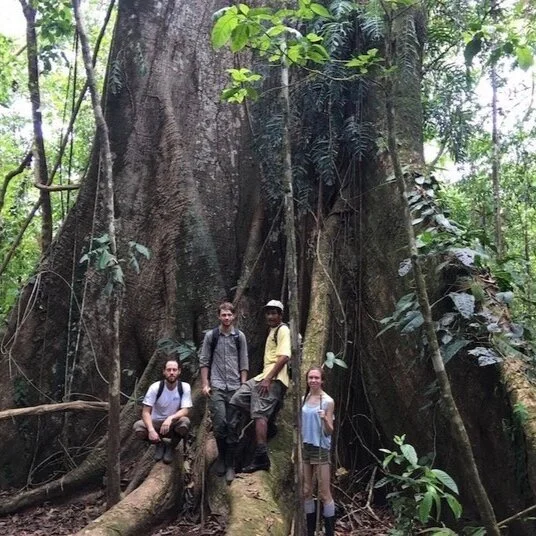 Ceiba to Ceiba Rainforest Hike at Golfo Dulce Retreat