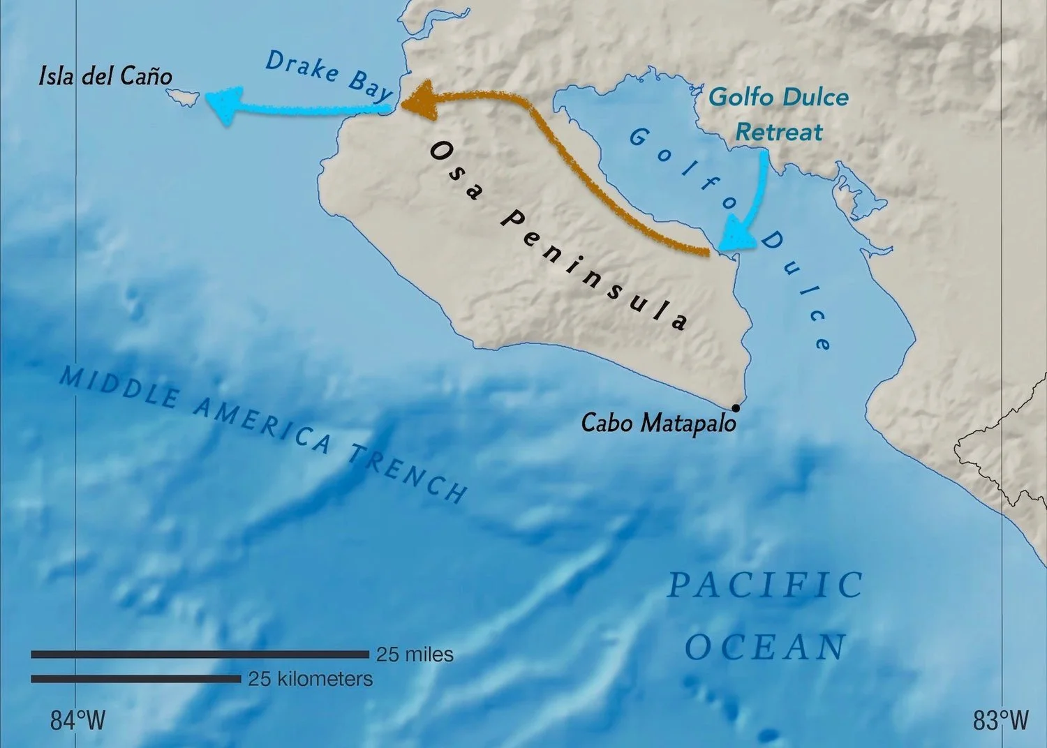Visit Caño Island from Golfo Dulce Retreat via Drake Bay