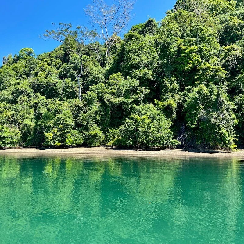 Golfo Dulce Shoreline