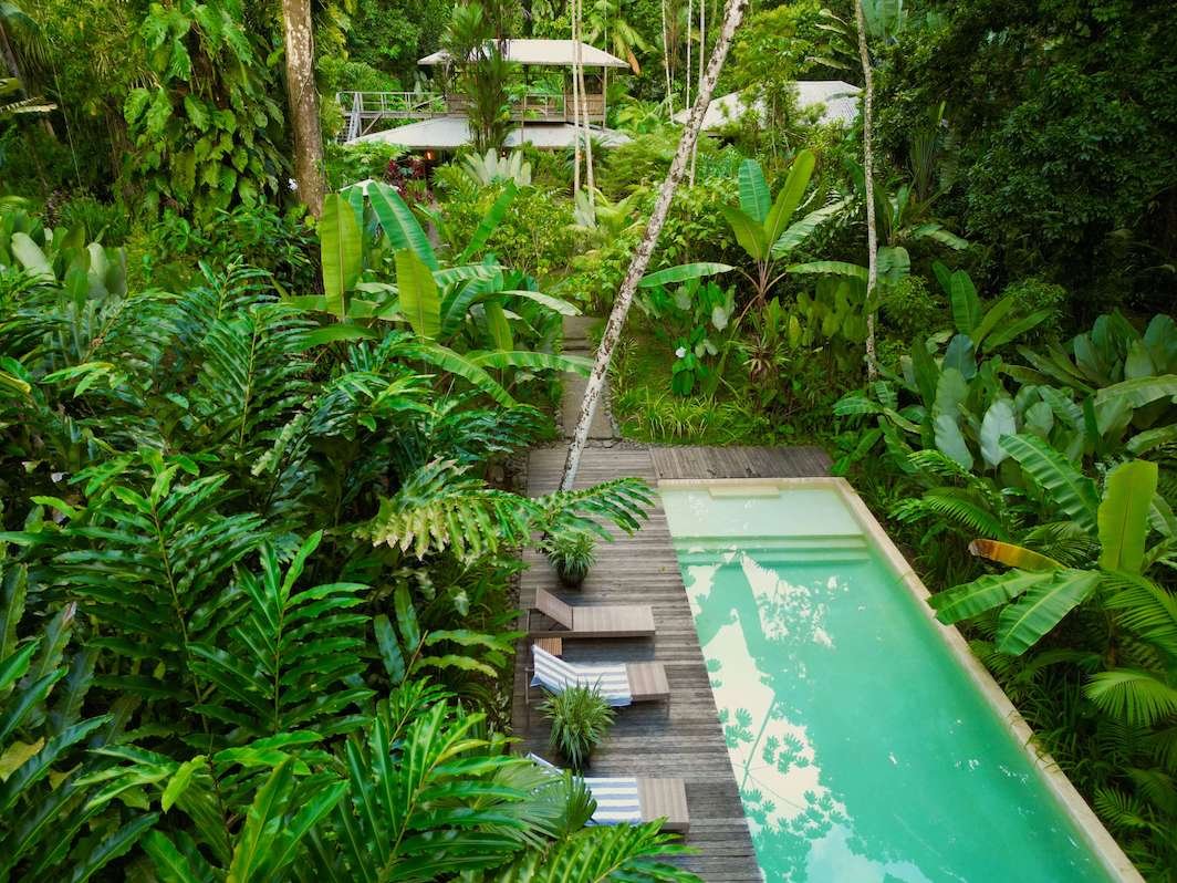 Jungle Pool