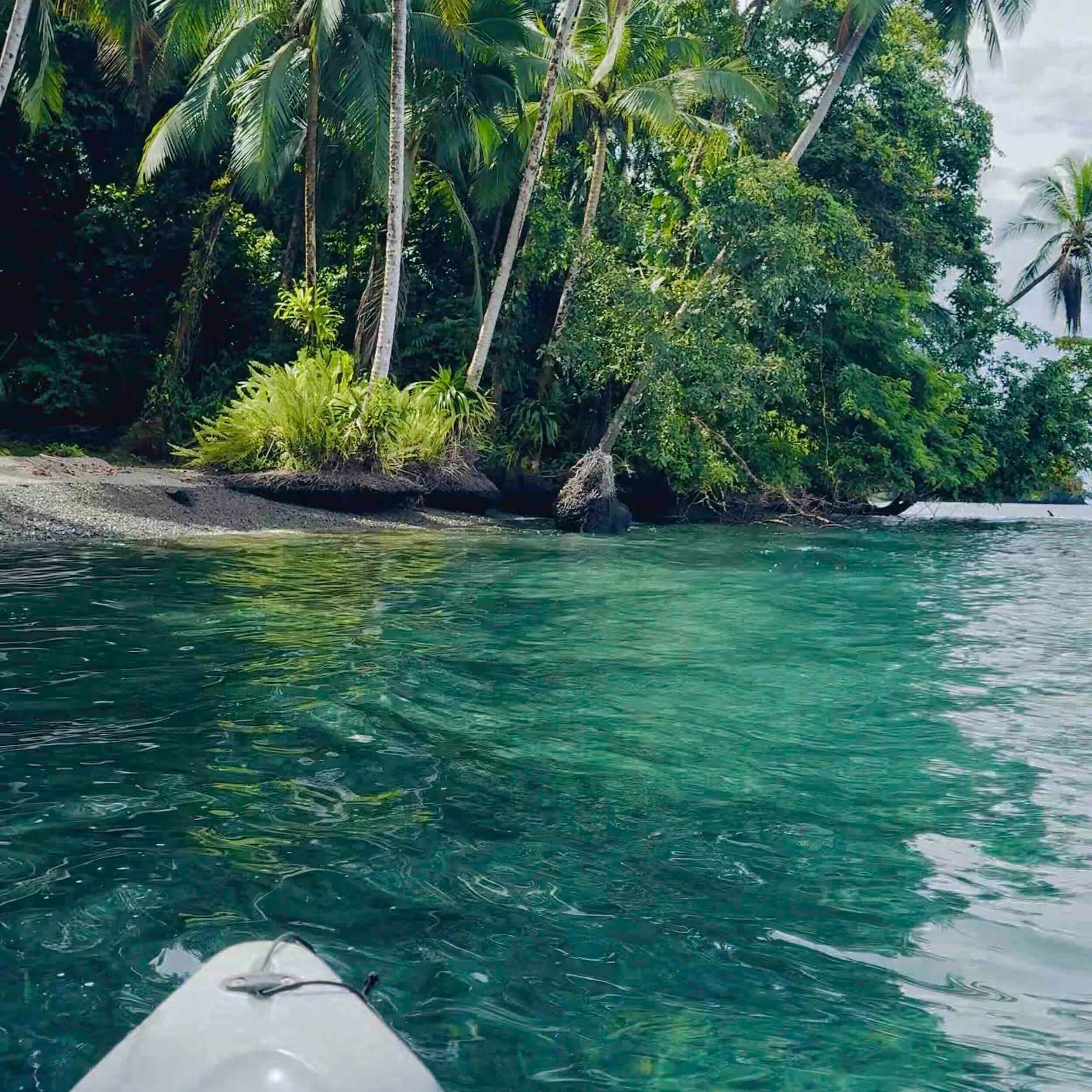 Kayaking and stand-up paddleboarding in Golfo Dulce