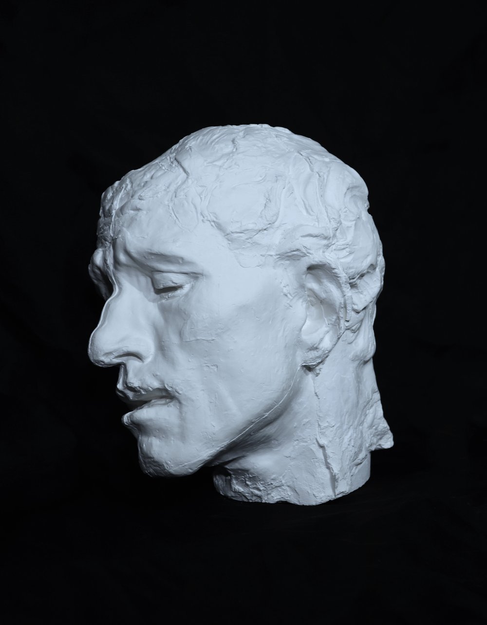 Silicone Head & Bust Sculpture Book – brickintheyard