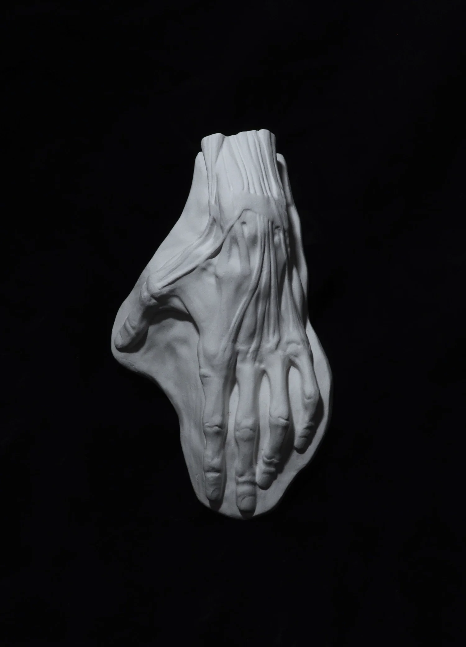 Écorché hand — The Fountainhead Gipsoteca