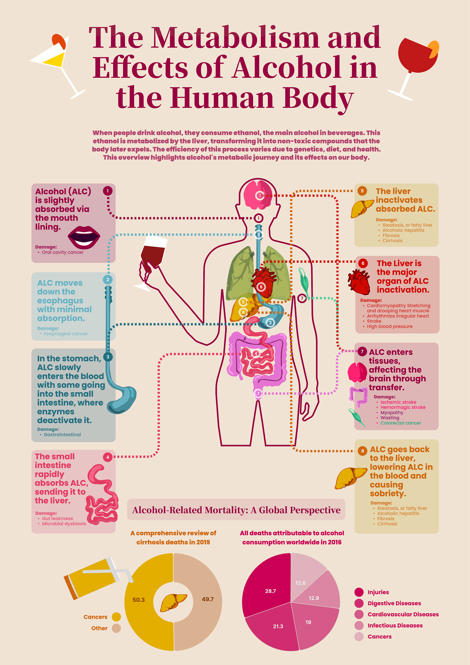 Project1Improvement_XueerWang 1.png