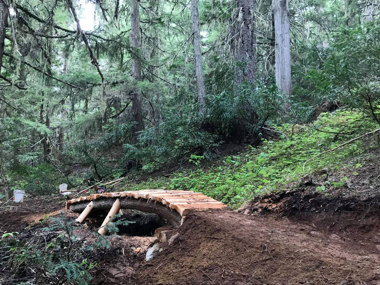 New wood on Below the God's (Smallwood)

NCC trail crew has cleared and worked on the trail. Couple sections have been modified (for the better) but please ride accordingly. Enjoy! 
.
.
.
#nelsonbc #mountainbikebc #mountainbike #kootenaylife #ncc #ko