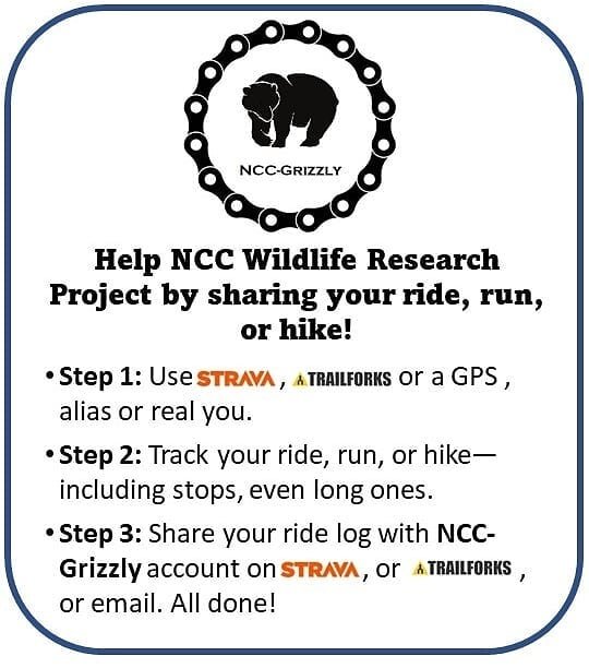 Help us build better trails by supporting recreation ecology research. Share your ride! #recreationecology #grizzly #sciencebybike