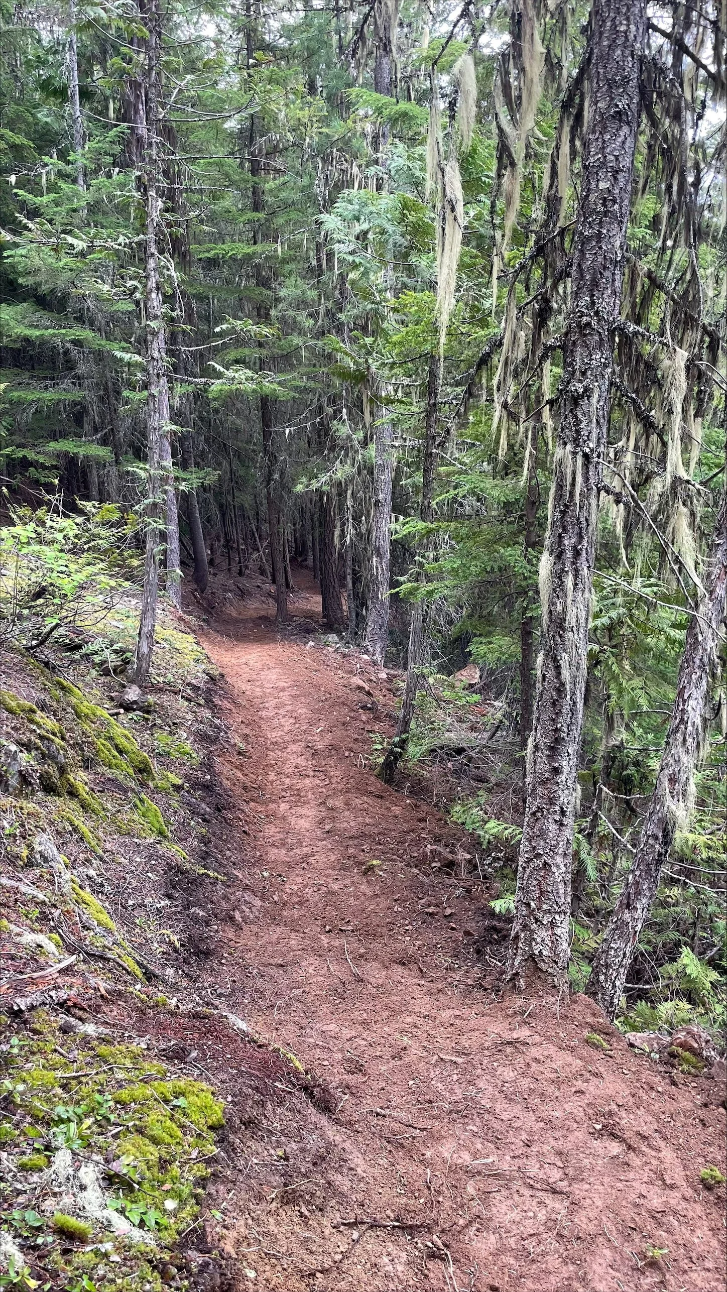 Early June - Update & Events