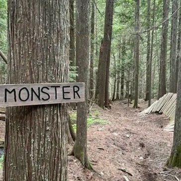 Monster DH